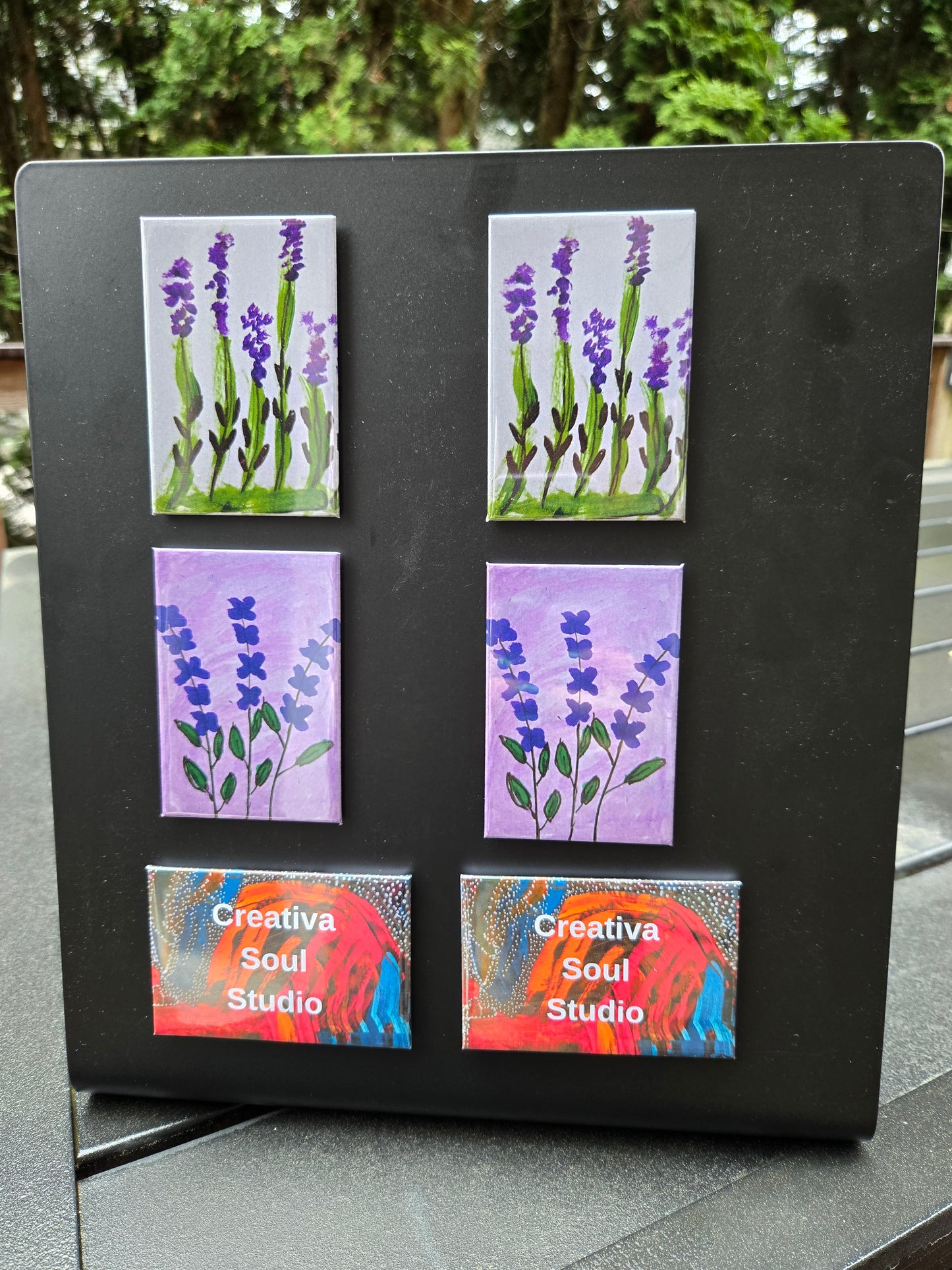 Rectangle Magnets - (6 Piece Set)